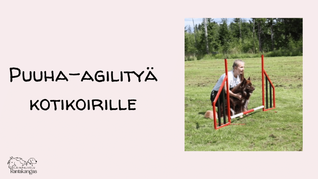 puuha agility verkkokurssi