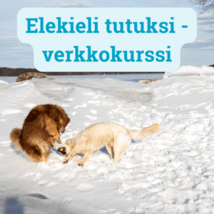 elekieli tutuksi