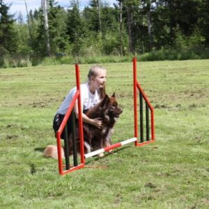 puuha-agility