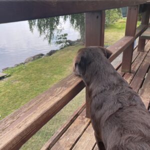 Kokeile hajutyöskentelyä!