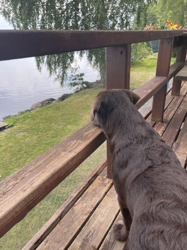 Kokeile hajutyöskentelyä!
