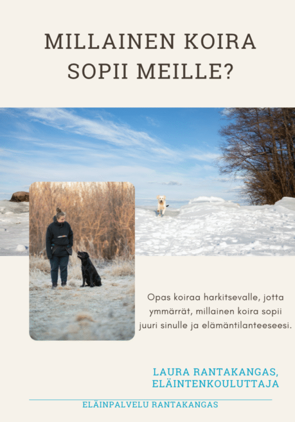 millainen koira sopii meille?-opas