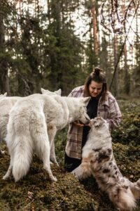 Matilda https://www.elainpalvelurantakangas.com/wp-content/uploads/2023/01/ElainpalveluRantakangas_LOGO_100cm.jpg