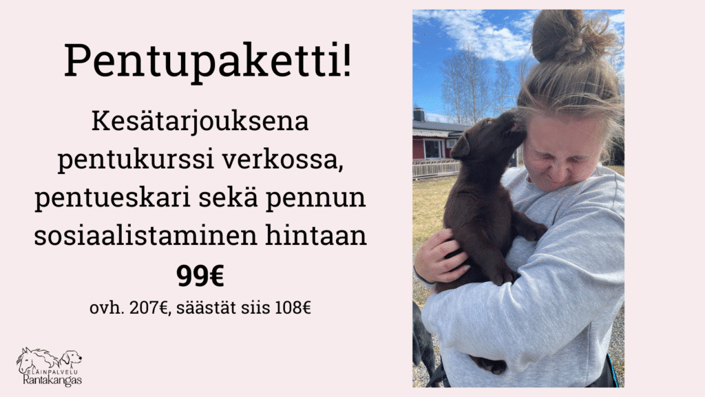 Pentupaketti