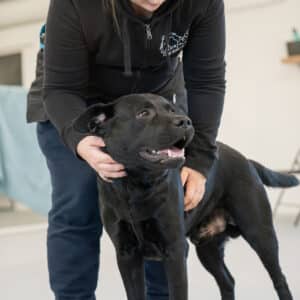 Innokkaat tervehtijät
